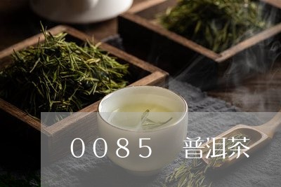 0085 普洱茶/2023031735938